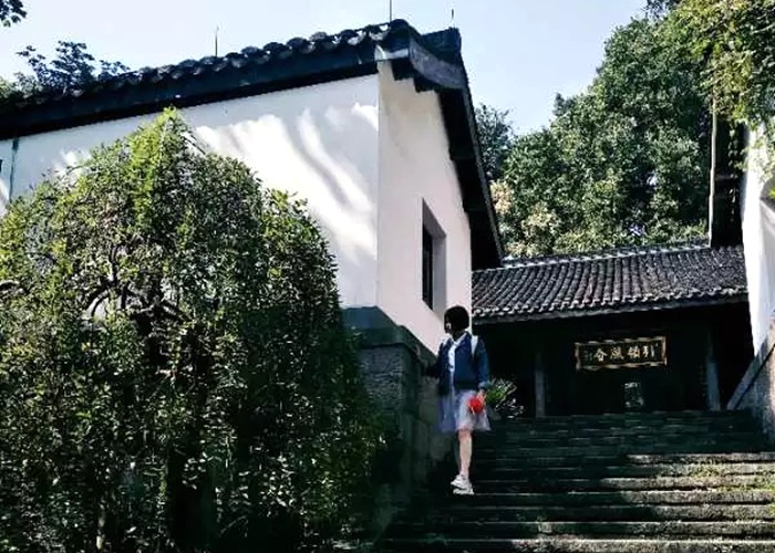 浙江工業(yè)大學(xué)毛露婷：從現(xiàn)在開始讓自己努力變強吧！